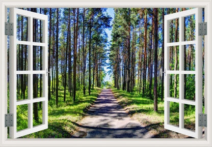 Peel-and-Stick 3D Window Wall Mural