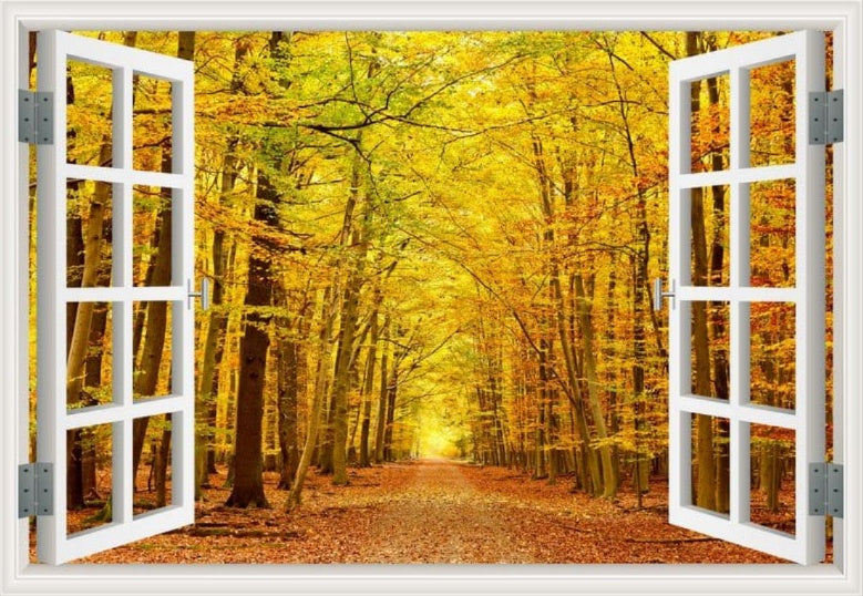 Peel-and-Stick 3D Window Wall Mural