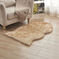 Plush Carpet Floor Mat for Home