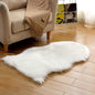 Plush Carpet Floor Mat for Home