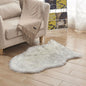 Plush Carpet Floor Mat for Home