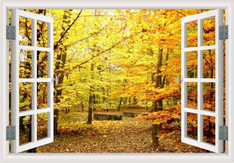 Peel-and-Stick 3D Window Wall Mural