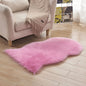 Plush Carpet Floor Mat for Home