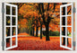 Peel-and-Stick 3D Window Wall Mural