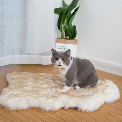 Plush Carpet Floor Mat for Home