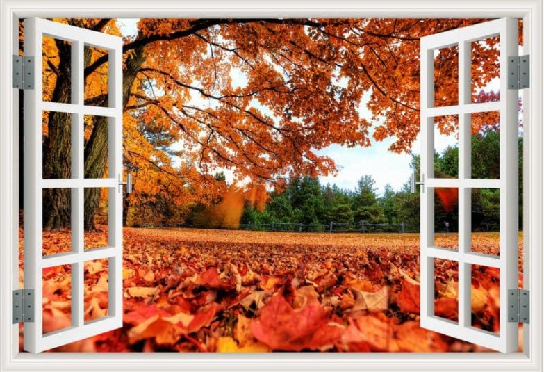 Peel-and-Stick 3D Window Wall Mural