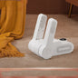 Quick Shoe Dryer with Bacteria Control